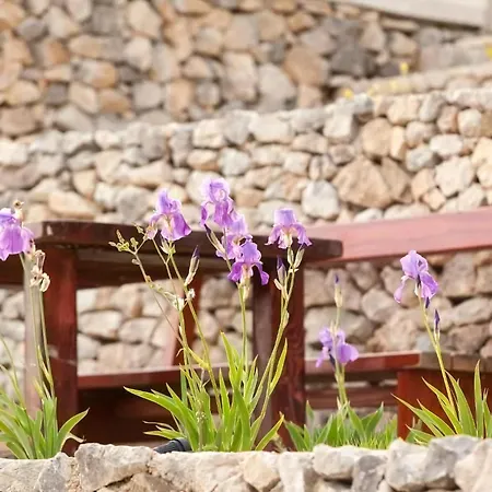 Rita * Makarska